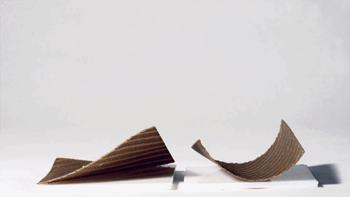 tumblr_ndfvz6xkP71qav3uso3_r1_5001475732673