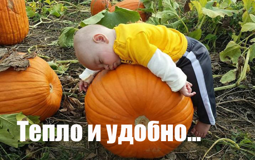 201610070001-kartinki-prikoly-deti-son-mne-tak-udobno-kashamalasha-com
