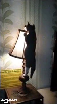 ohuitelnayaistoriyaotmenakotye1960896_yapfiles.ru