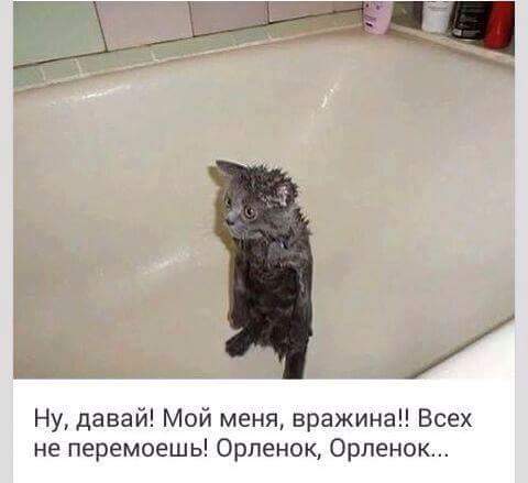 FB_IMG_1476078218747