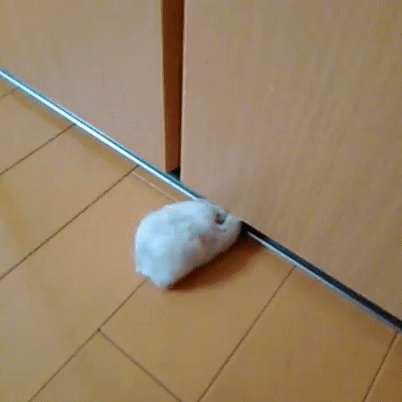 Проникнуть