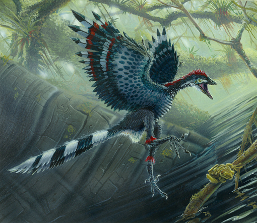 Archaeopteryx