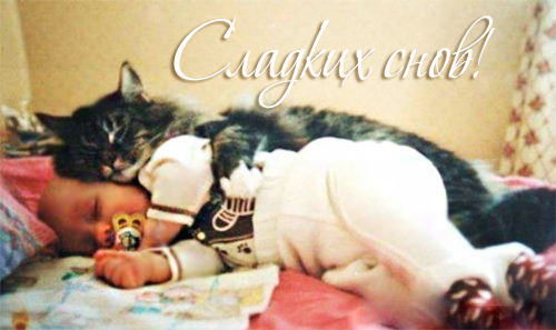 201308070018-kote-bolshe-rebenka-kashamalasha-com