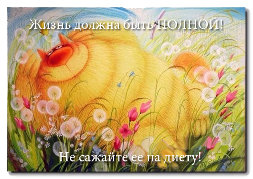 131424938_bS0qtMBXl8