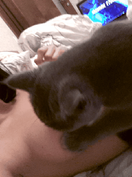 -Эротика-песочница-эротики-котэ-2017911