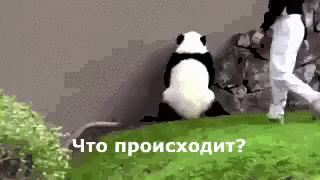 каждого есть такой друг