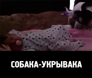 eb99054b8370ee886df464d229801af0022d092b7971d8bcb0056d6cfe7f002e_1