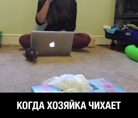 1686f6a8b4b32a096b17ddc0347f3e3b47ade05214fc3668def1f6f0b8e525e2_1