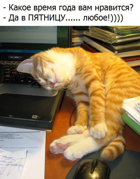 14813519_203613813395805_1329041498_n