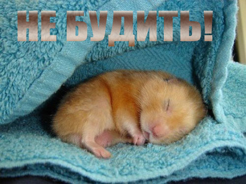 1234356309_v-zdorovom-tele-zdorovyj-son_15593_s__3