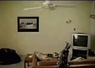 Kogda_khochesh_byt_kosmonavtom_no_ty_kot_yapfiles.ru