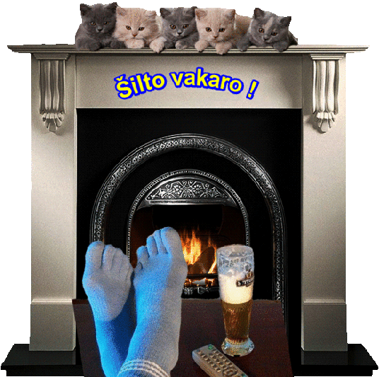Šilto vakaro