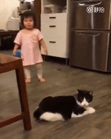 ezgif_com-optimize_9