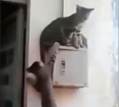 наглость второе счастье