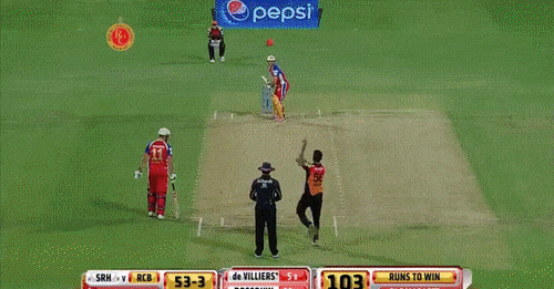 -крикет-снайпер-3450867