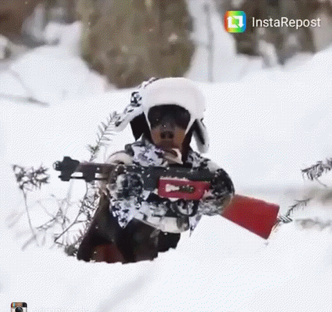 с автоматом