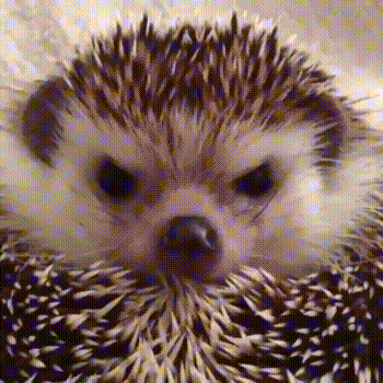https__vk_com_gif_fak (6)