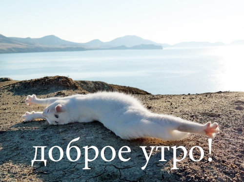 201409110033-kartinki-prikoly-mimimi-krasota-kote-voda-gory-priroda-more-kashamalasha-com