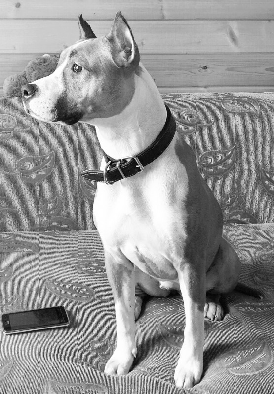 IMG_20161104_132523_01_01