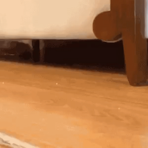 ezgif.com-video-to-gif (8)