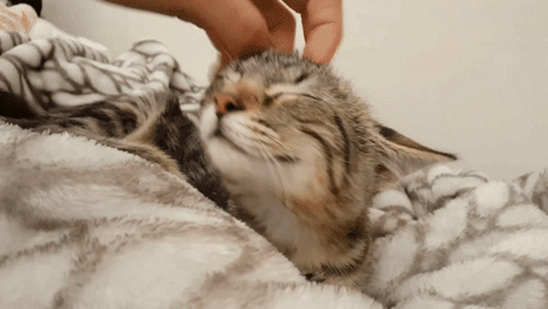 ezgif.com-video-to-gif (21)