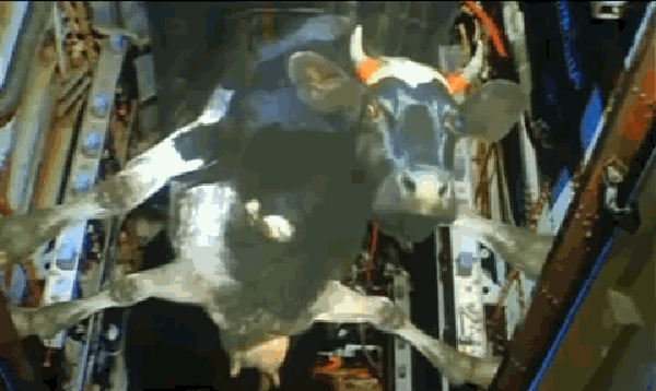 1382944526_bezymyannyy