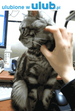 Ну хватит уже