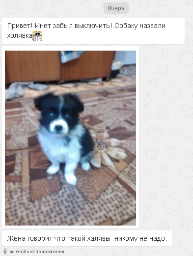 изображение 2016-11-17_17-11-20.406