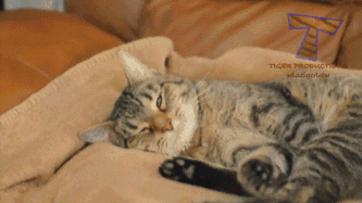 20161114-101843-1478845507-6ba36c9029f9e8336a55de660b2d8cc7gif (1)