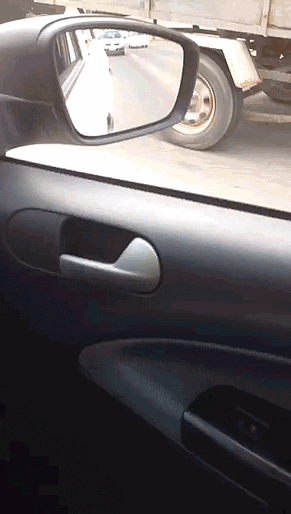 Отдыхаем ебут собаку Пользуйся моментом, другого судьба может не предоставить