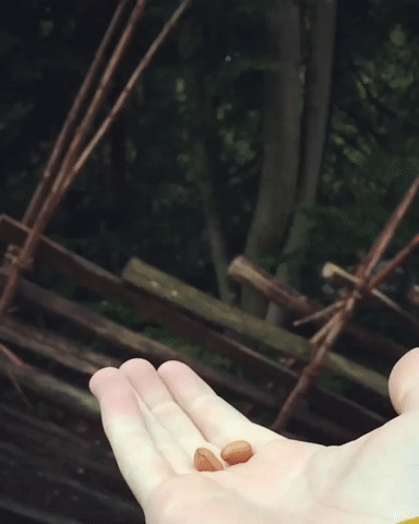 ezgif.com-video-to-gif (17)