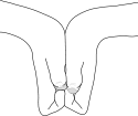 125px-Mudra-Naruto-Cochon.svg