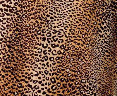 223