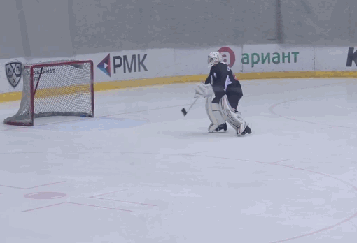 хокерист