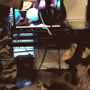 gif-обезьяна-виртуальная-реальность-3502566