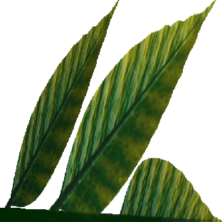 largeplant2_zps0ef159f2