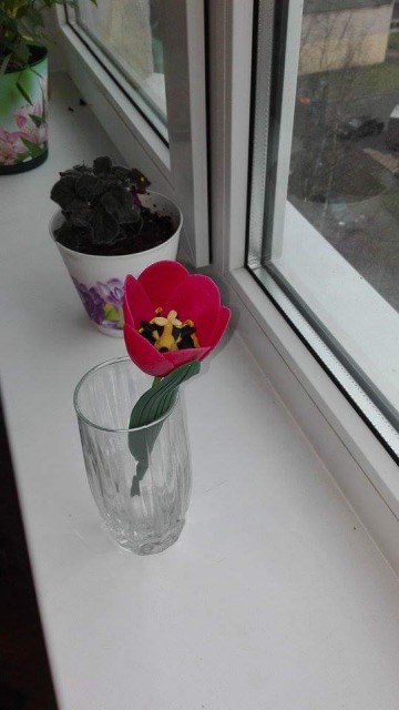 received_1130989270349567