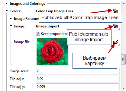Цветы11
