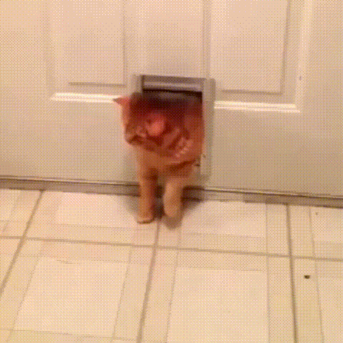 F0FEDD9BEF1110083886618439680_18e46208662.3.2