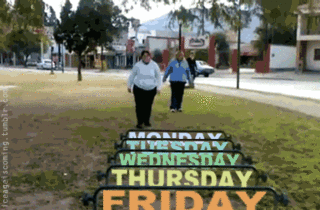 giphy (2)