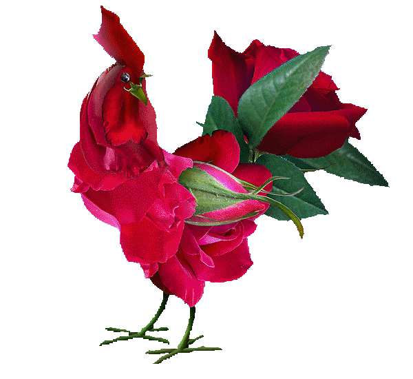 0_2ae05b_3ec51fcb_orig