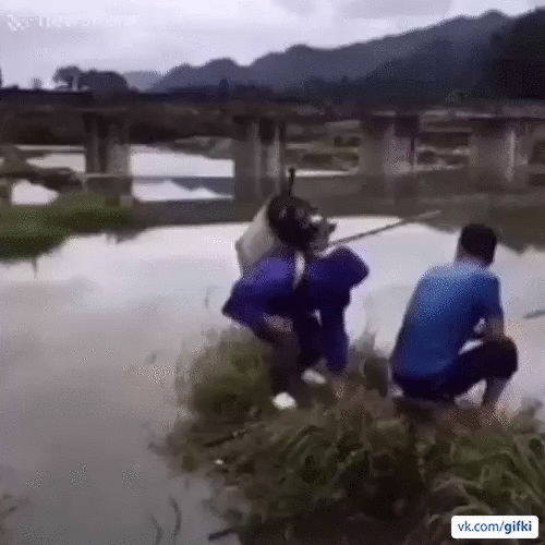 7eef9c46015f82520ffb3ec0335