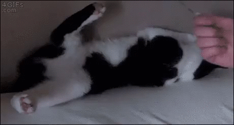 Kogda_nadezhdy_net__128575