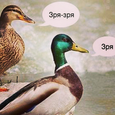 1445679445151291282