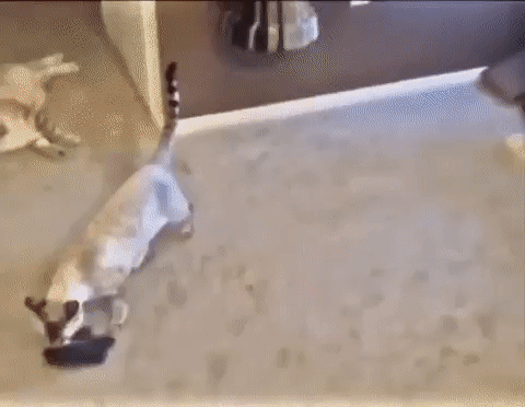 IMG_20161019_075934_5