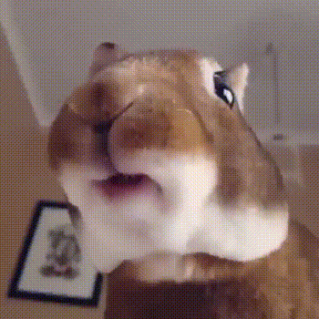 (1)