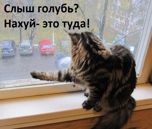 40b33c14a0e9