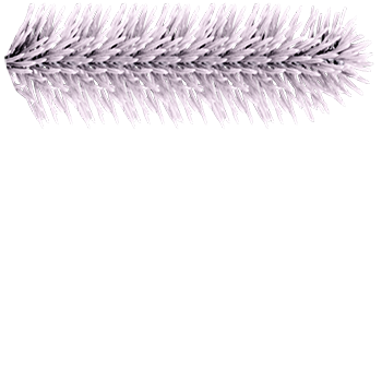58