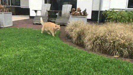 ed04cc9f280a95c48a46f49c53d3a24f