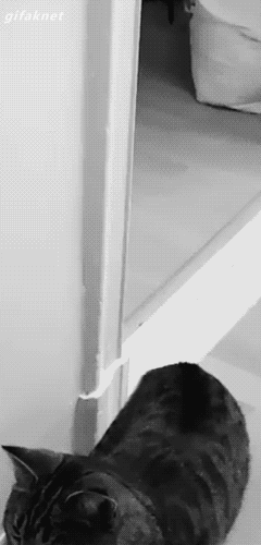 2586fbb51bbc45bcdca752a63f4504d6